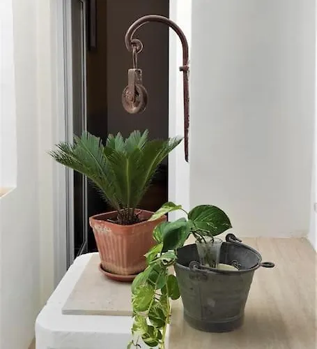 Casa Salento * توليي